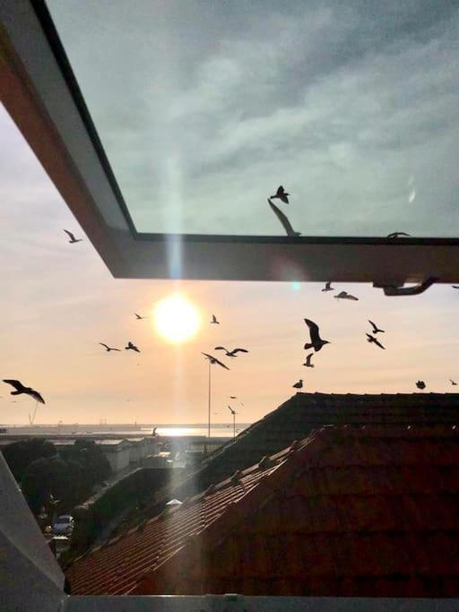 Lobo Do Mar Matosinhos Beach Loft Eksteriør billede